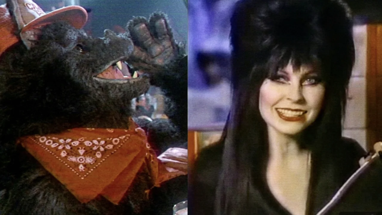 Elvira Beer Wolf Halloween