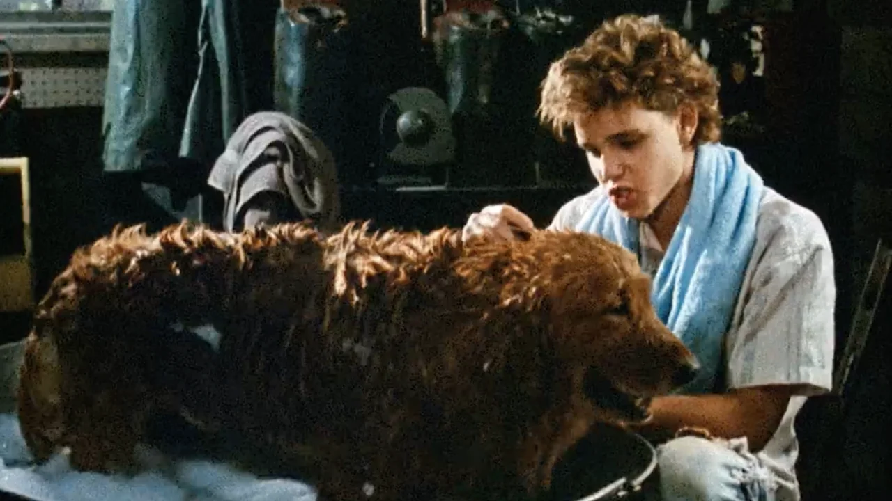 Watchers Corey Haim and Furface