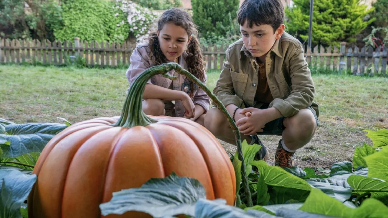 Giant Pumpkins Grow Movie 2025