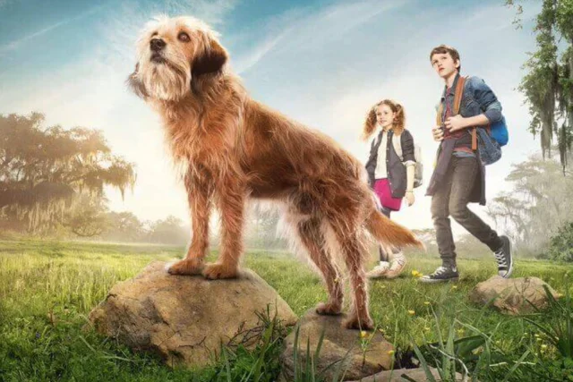 Benji 2018 Netflix Blumhouse