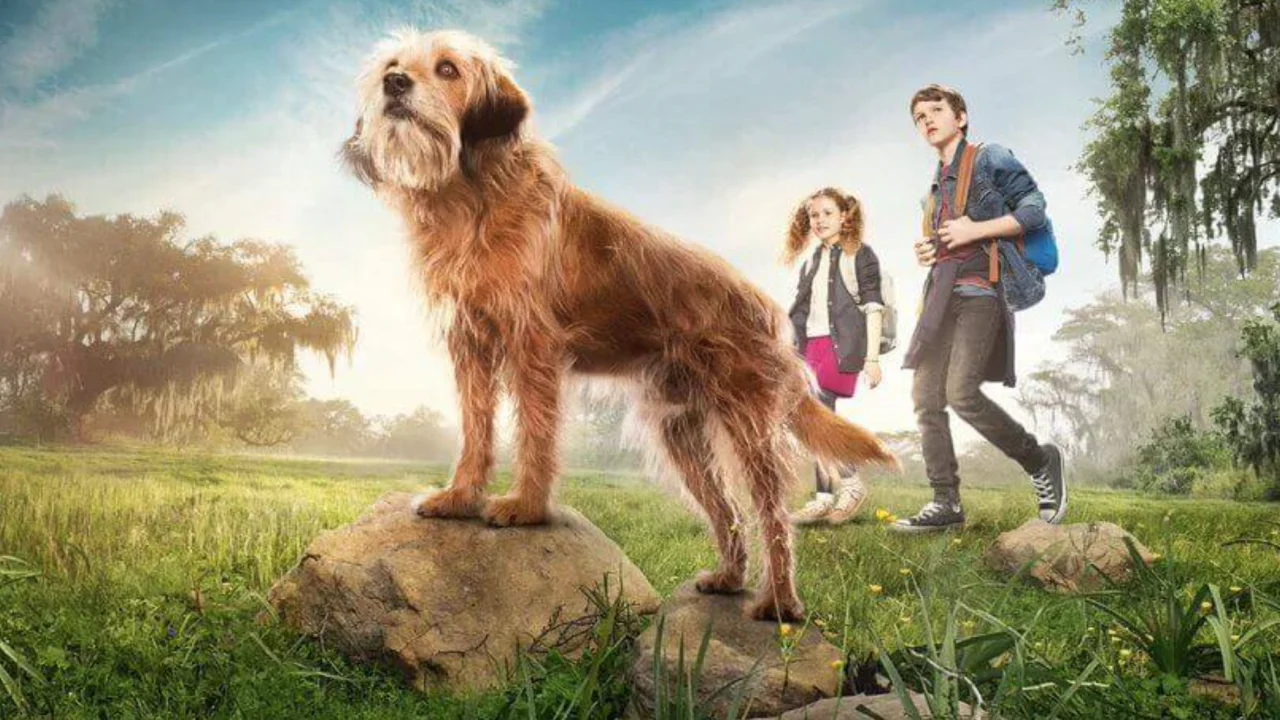 Benji 2018 Netflix Blumhouse