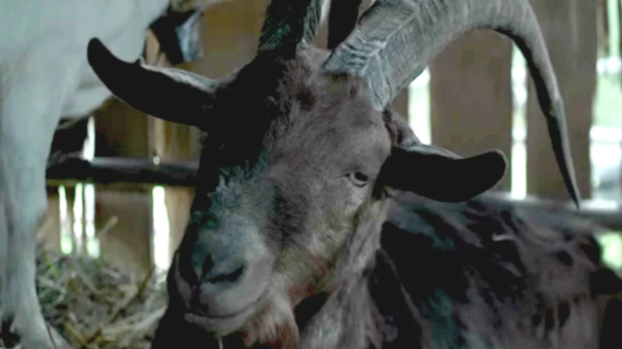 Black Phillip Butter Dish