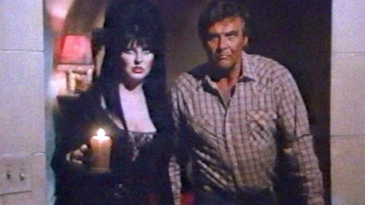 Elvira Meets The Fall Guy