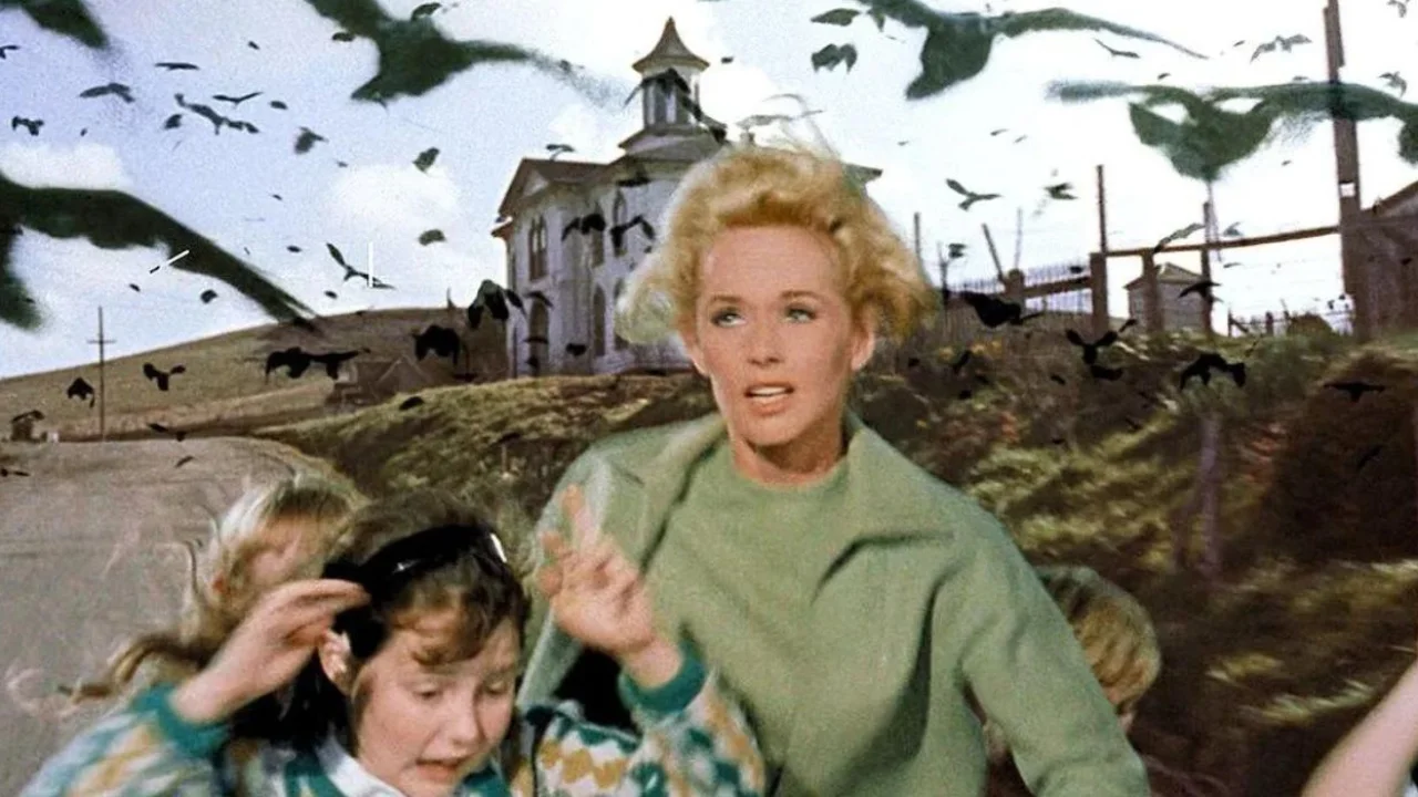 The Birds Limited Series HBO