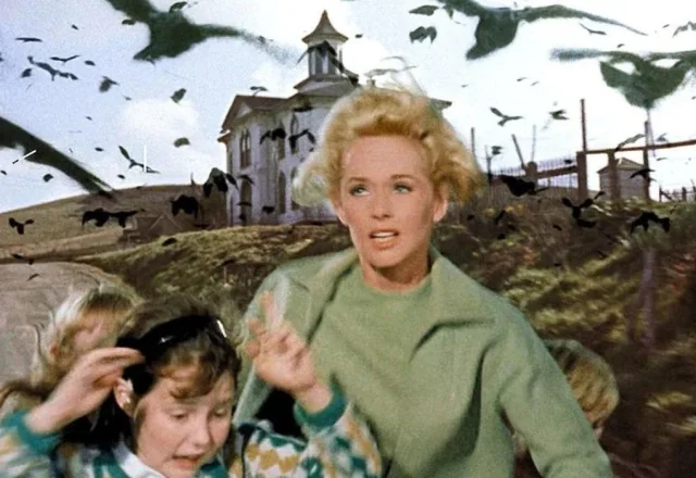 The Birds Limited Series HBO