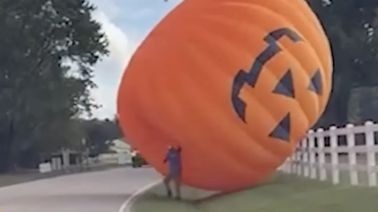 Giant pumpkin North Carolina