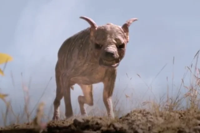 Cryptid Report US Mexico Border