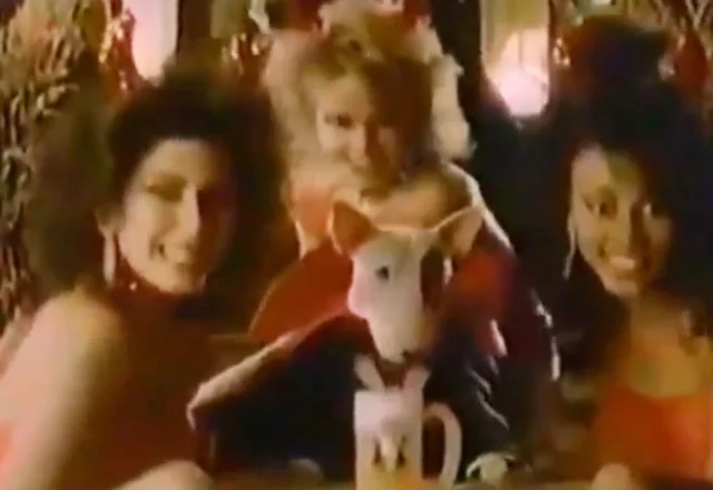 Spuds MacKenzie Halloween Party