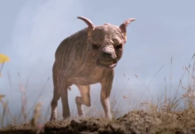 Cryptid Report US Mexico Border