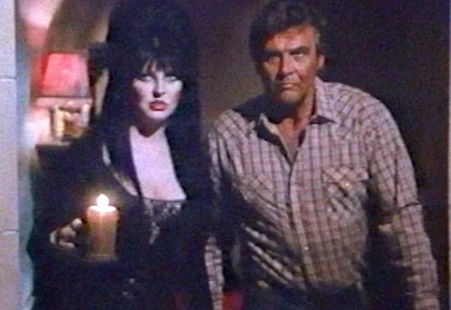 Elvira Meets The Fall Guy