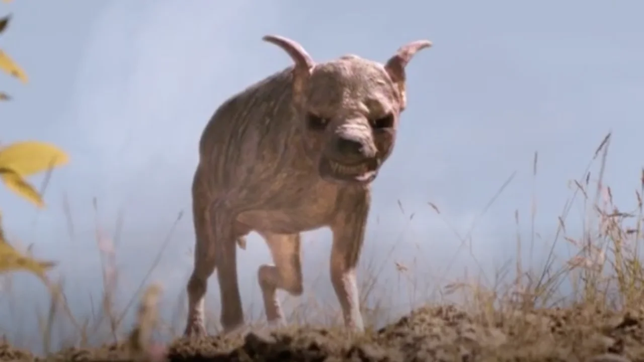 Cryptid Report US Mexico Border