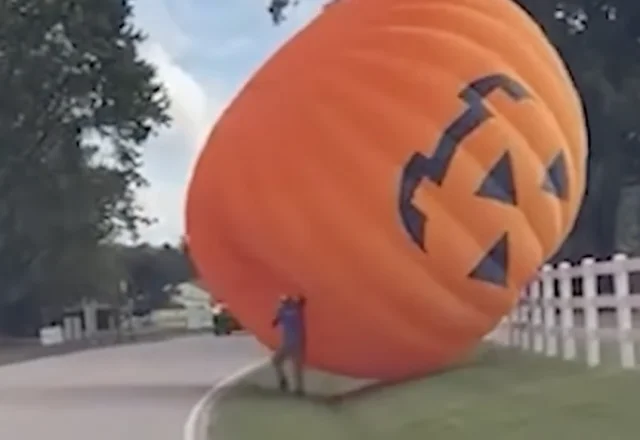Giant pumpkin North Carolina