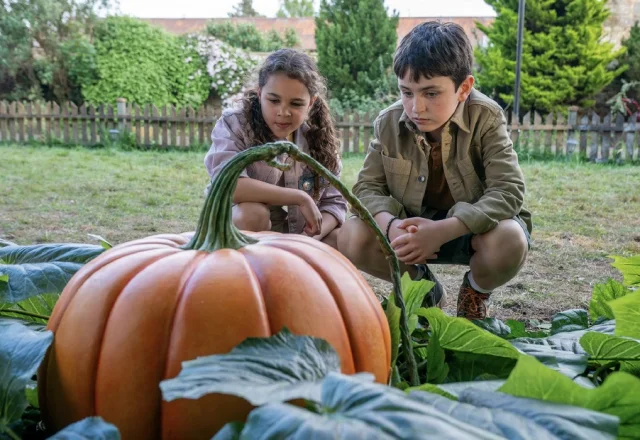 Giant Pumpkins Grow Movie 2025